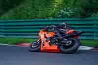 Advanced Group Orange Bikes